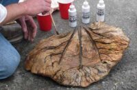 Concrete Leaf - molded and stained to look real